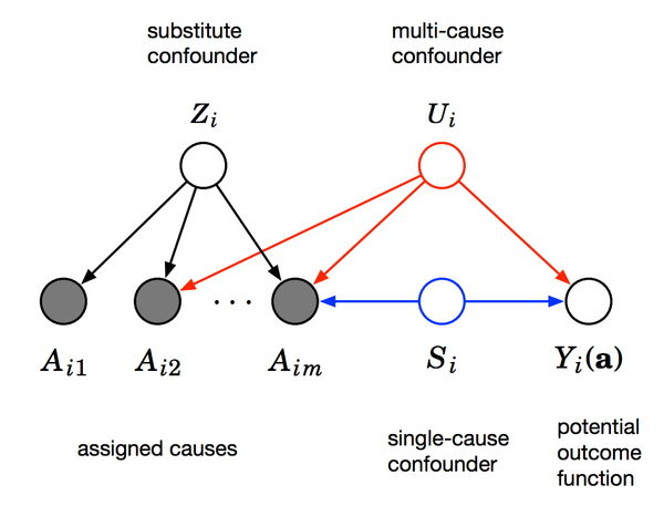 The Blessings of Multiple Causes: Causal Inference when you Can't Measure Confounders