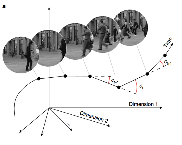Perceptual Straightening of Natural Videos